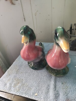 duck flower pot