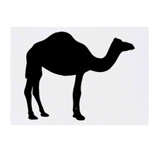 'Camel Silhouette' Temporary Tattoos / Transfers TO00027194