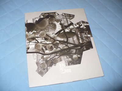 YI ZHOU MONOGRAPHIE GALERIE JEROME DE NOIRMONT PARIS