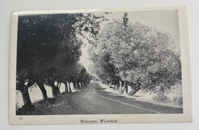 #ad #ad Vintage Postcard View of Tree Lined Road Highway Minocqua Wisconsin WI $3.96