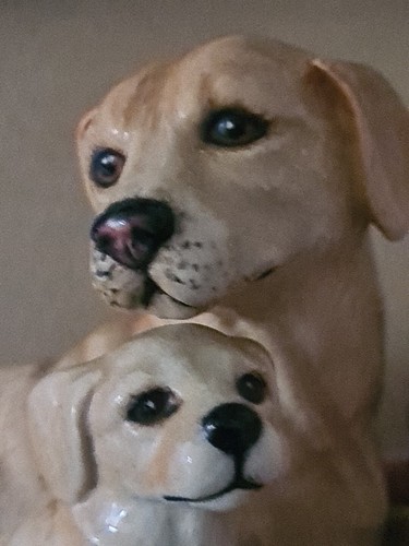 ROYAL DOULTON PERRO LABRADOR DORADO Y CACHORRO Nº Acabado brillante DA 168 DORADO. - Imagen 2 de 13