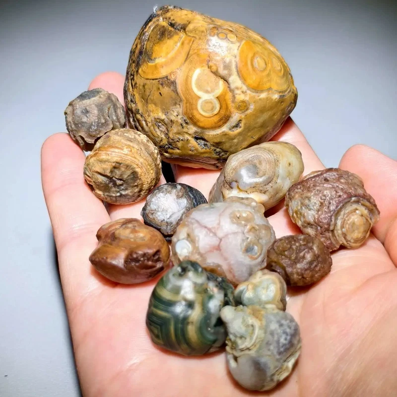 天然　水石 水石| eBay