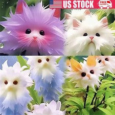 20Pcs Monkey Face Orchid Flower Seeds Mix Plant Bonsai Plants Flowers Garden