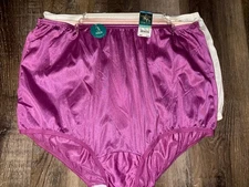 Vanity Fair ~ Womens Brief Underwear Panties 3-Pair 100% Nylon ~ 2XL/9