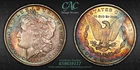 CACG MS-64 1888-P Morgan Silver Dollar, Stunning, Vibrant Rainbow-Toning!