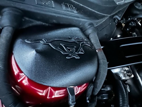 2015-2023 Mustang Strut Tower Covers Caps (5.0) Ruby Red (more colors available) - Foto 9 di 15