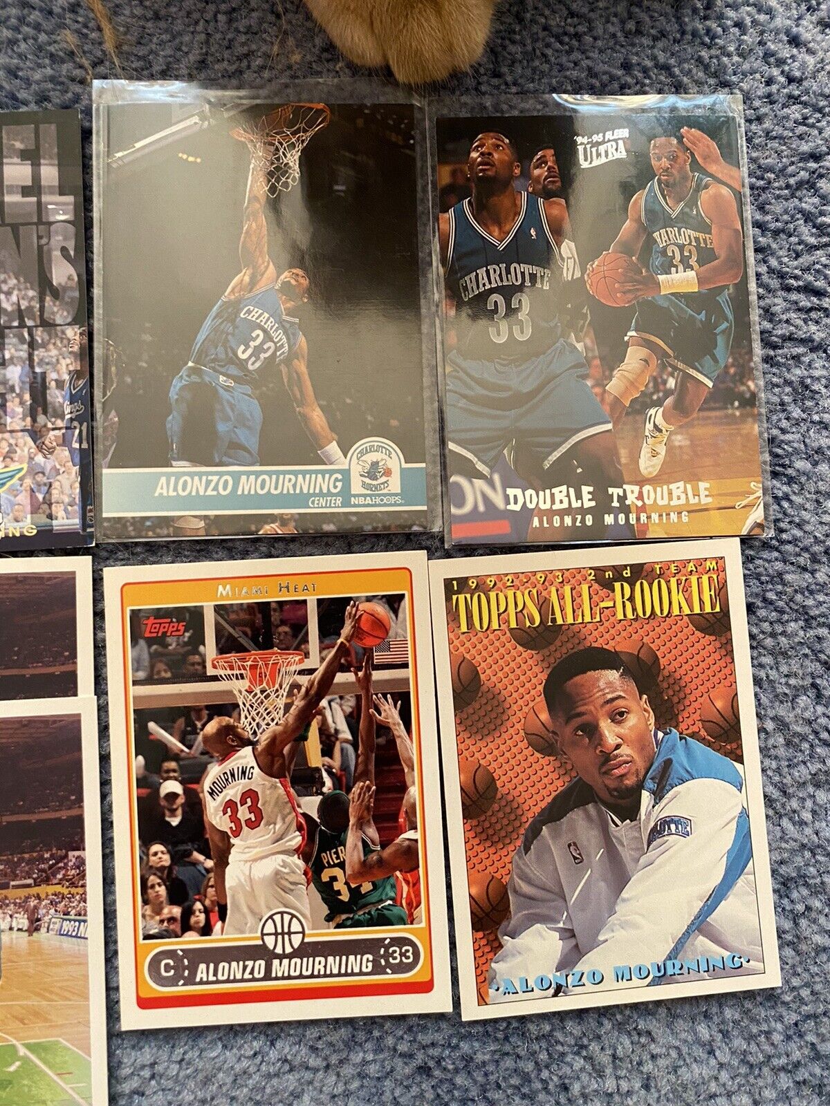 Lot Of 11 Alonzo Mourning Cards Topps, Fleer Ultra, NBA Hoops, All Rookie |  eBay