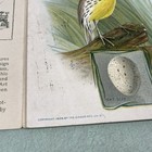 Picture 9 of 10