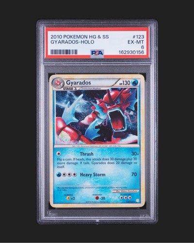 Gyarados graded PSA 6 for sale on eBay