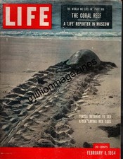 1954 February 8 - Korea POWs; NY Central Rialroad; Polio; Turtle returns to sea