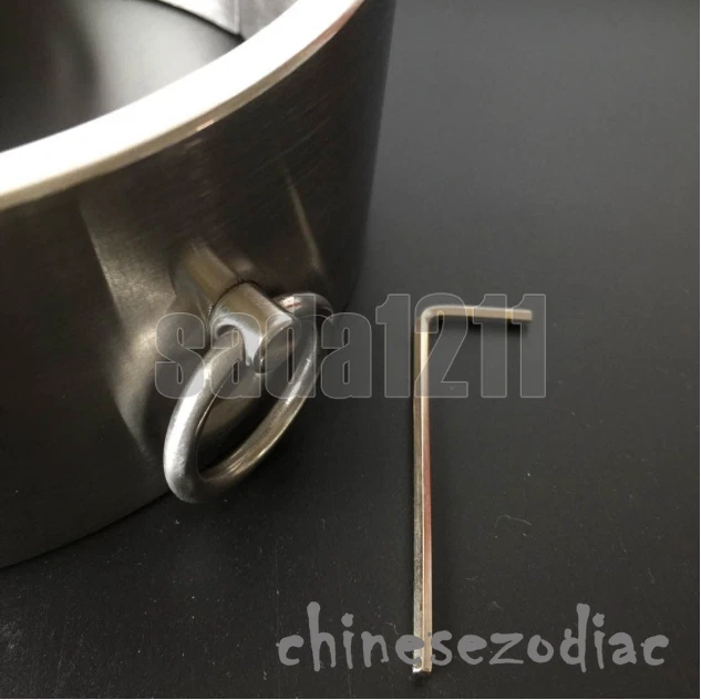 6 CM Resistente 100% Acero Inoxidable Cuello Cuello Cuello Corsé Puño Encuadernación 4 Tamaño Foto 4 de 4