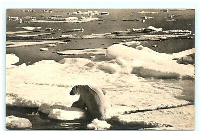 S03-9580, ISBJORN, REAL PHOTO POSTCARD