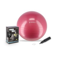 Gymnastikball Fitnessball Sitzball Sportball Yogaball 65 Cm Pumpe Pflaume Hms