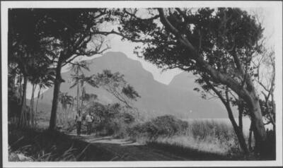 Lord Howe Island Two men walking along a track, Lord Howe Island - Old Photo
