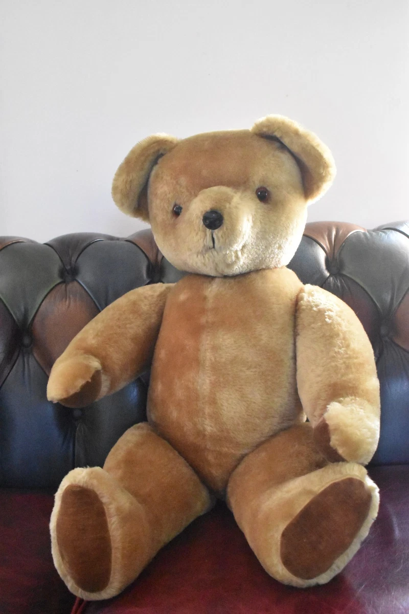 Pedigree Bear for sale | eBay UK