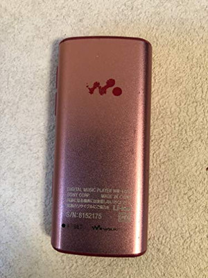 SONY WALKMAN NW-E052K 2GB | E050K Series (Japan Model) NEW | eBay