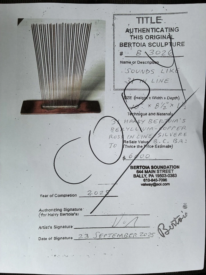 Hermosa escultura original Harry Bertoia diseño Val Bertoia Sonambient 31 varillas Foto 3 de 4