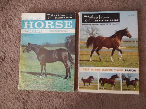 Lot of 10 Arabian Horse World Magazine 60's 70's 80's Equestrian - Picture 13 of 16