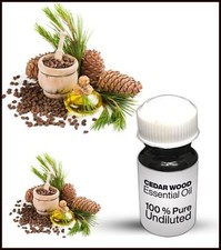 Cedar Wood Essential Oil 100 Pure Undiluted 10ML-500ML 
