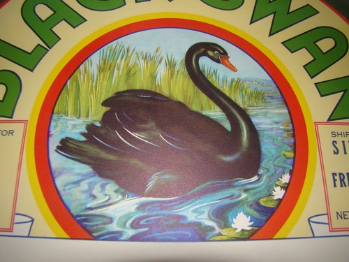 VTG BLACK Trumpetor SWAN - New York City, USA - ORIGINAL Barrel LABEL 1920s - Picture 3 of 3