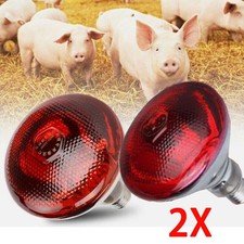 Brooder RUBY RED BULB Poultry HEAT Lambs Livestock 2PCS 250W INFRA Chick LAMP   