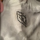 Foto 5 di 5