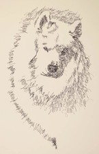 SAMOYED Dog Breed Art Print #86 - Artist Stephen Kline will add dogs name free.