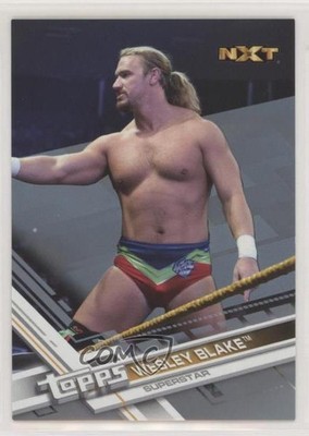 2017 Topps WWE Then Now Forever Silver 17/25 Wesley Blake #180 0e3
