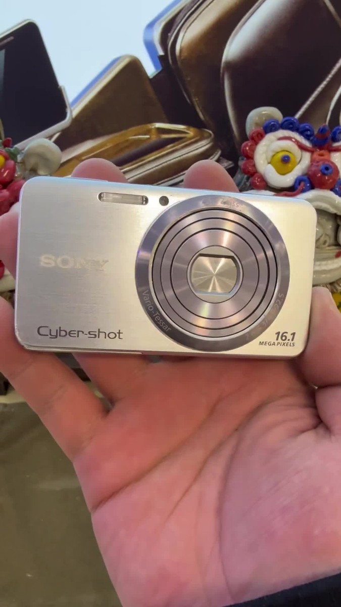 SONY Cyber shot DSC-W630 Digital Camera 5x Optical Zoom 720p HD