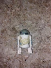 Star Wars R2-D2 Action Figure Vintage 1977 Kenner Original MADE IN HONG KONG