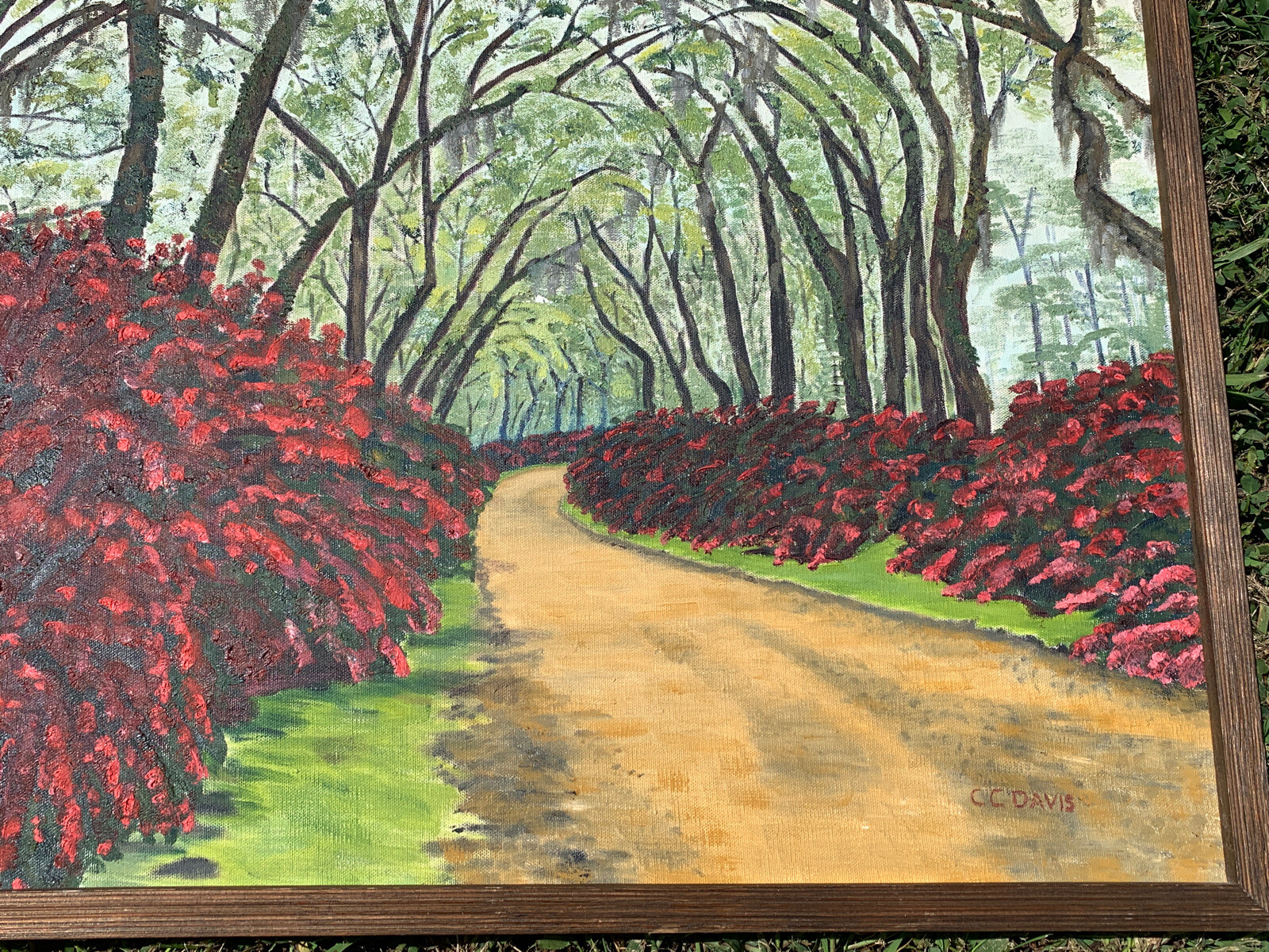 Picture 7 of 11