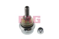 825 0167 10 FAG Trag-/FüHrungsgelenk FüR ,Nissan,Opel,Renault,Vauxhall