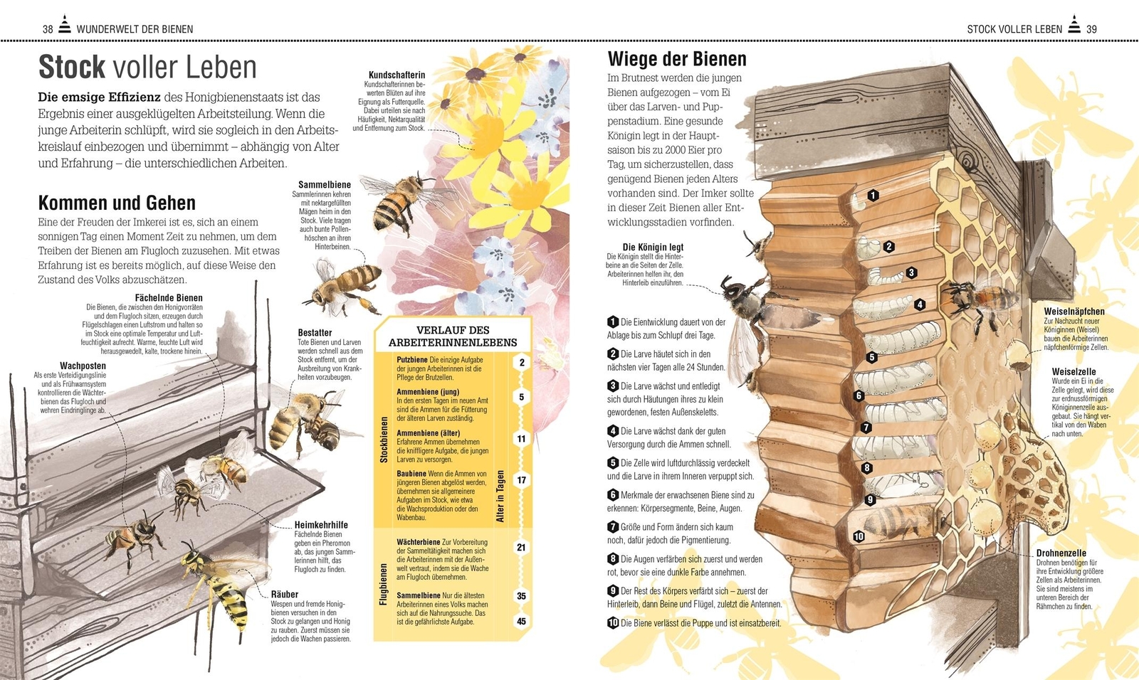 Thumbnail - Das Bienen Buch Emma Sarah Tennant