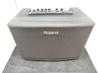 Roland Combo AC-40 gebraucht