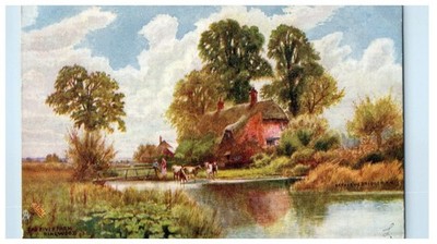1905 Cows Scene The River Farm Ringwood Hampshire Oilette Tuck Art Postcard