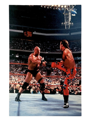 WWE STONE COLD AND SHAWN MICHAELS WRESTLEMANIA LIVE 4X6 WRESTLING PHOTOCARD #24