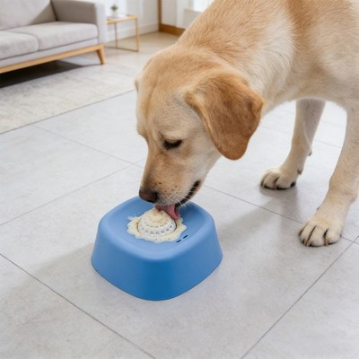 Slow Feeder Dog Bowl, Interactive Feeding Slow Dog Bowl, Dog Food Bowl |  eBay