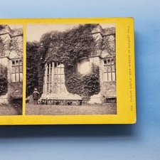 Raglan Stereoview C1870 Real Photo Wales Cadw Castle Victorian Folk