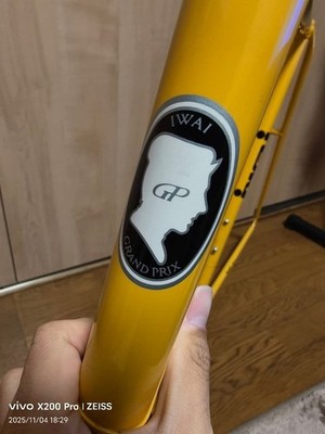 IWAI Grand Prix Road Bike Frame 605mm USED | eBay