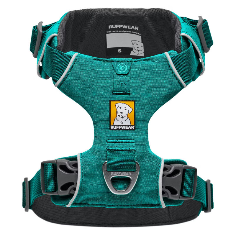 Staffy Harness: Which One's The Best? s l1600