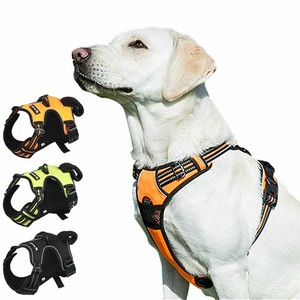 tailup dog harness