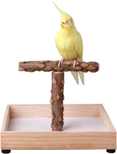Bird Stand Tabletop,Portable Tee Stand, Parrot Play Stand Perch Gym for Small Me