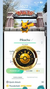 Pokémon GO: Golett Lucido (Shiny) Mini P T C 80k, Per Apple E Android