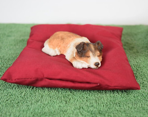 Sandicast "Shep" S59 with beanie bed. In excellent condition.