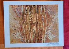 KRISHNA REDDY - U.N. (WFUNA) ART GRAPHIC - INDIAN AMERICAN SCARCE 347/1000