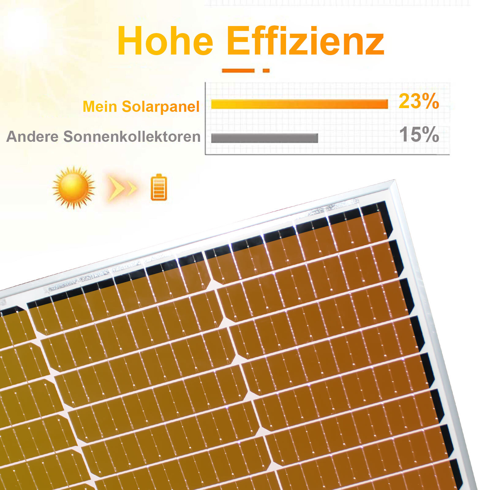 Bild 11 von 14