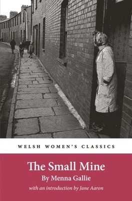 The Small Mine by Menna Gallie (Paperback Book)