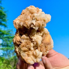 447G Natural Canine Tooth Shaped Golden Calcite Crystal Quartz Rough Specimen