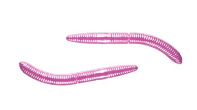 Libra Lures Fatty D'Worm 65 mm | Alle Farben | Wurm Imitat Käse Gummi Köder 