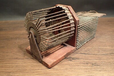 [廃盤] Brown rat　デモ CDセット 廃盤] Brown rat デモ CDセット 【公式通販】